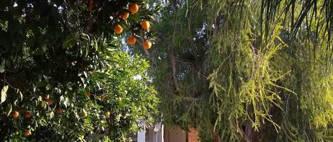 Entrée de l’hébergement