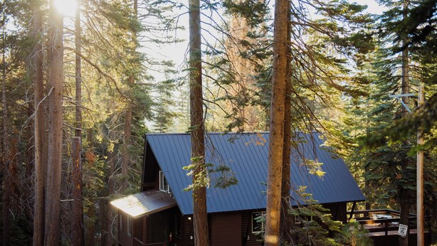 Une cabane avec un toit en métal, entourée de grands arbres, et une petite terrasse.