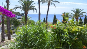 A coastal garden with palm trees and bougainvillea flowers, overlooking the sea.
