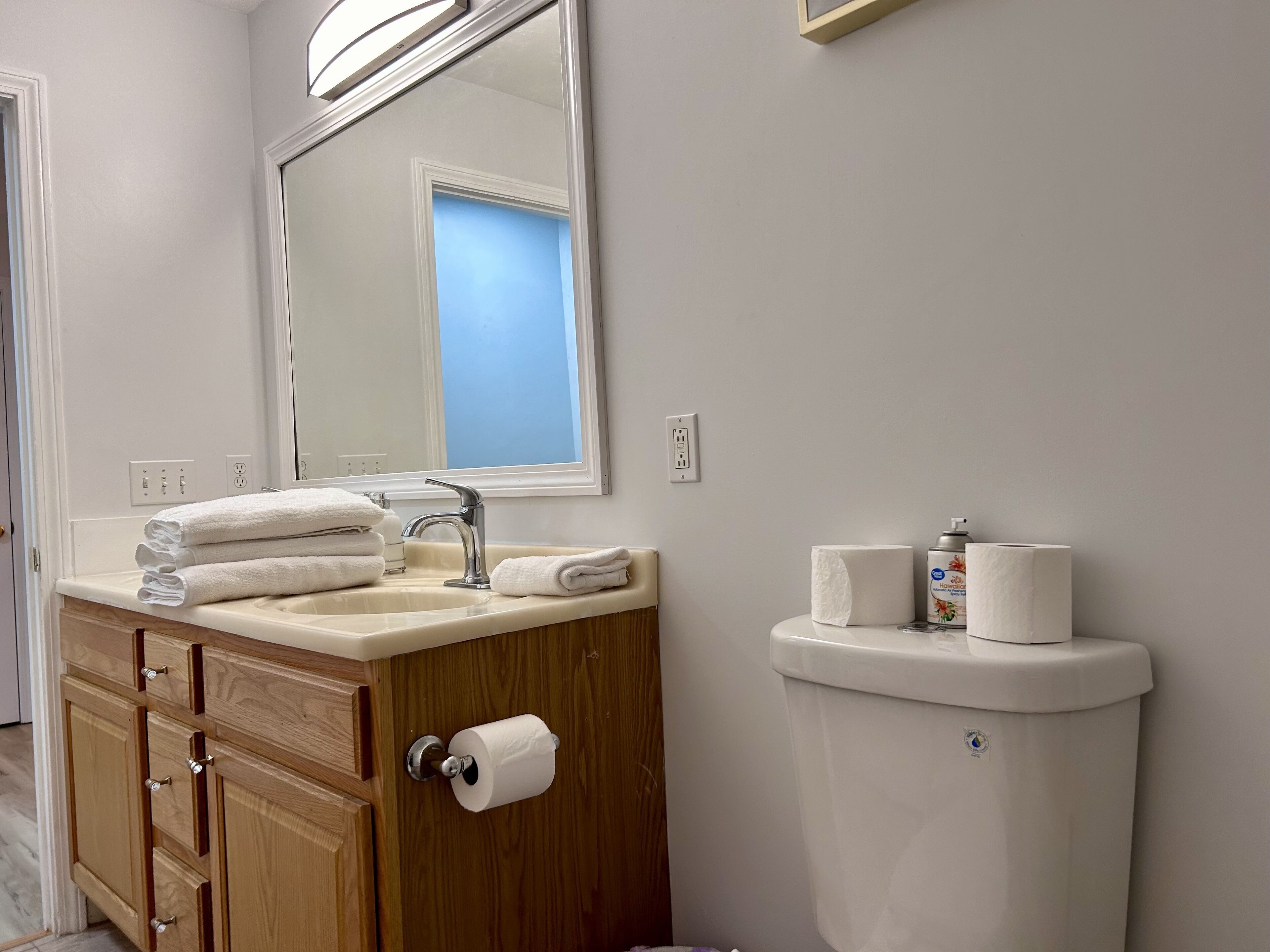 A bathroom with a sink, mirror, wooden vanity, and toilet.
