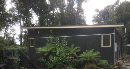 Holiday house on 1 acre of native bush a few minutes walk to lake Brunner