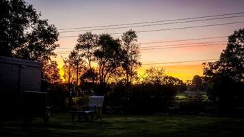 Vista de un atardecer con árboles y un banco en un patio trasero.