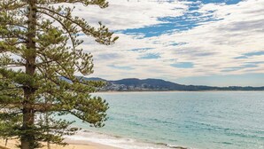 A coastal view with a beach, a tree, and a distant cityscape. - Oceans at Terrigal, a Beachfront Oasis (Terrigal)
