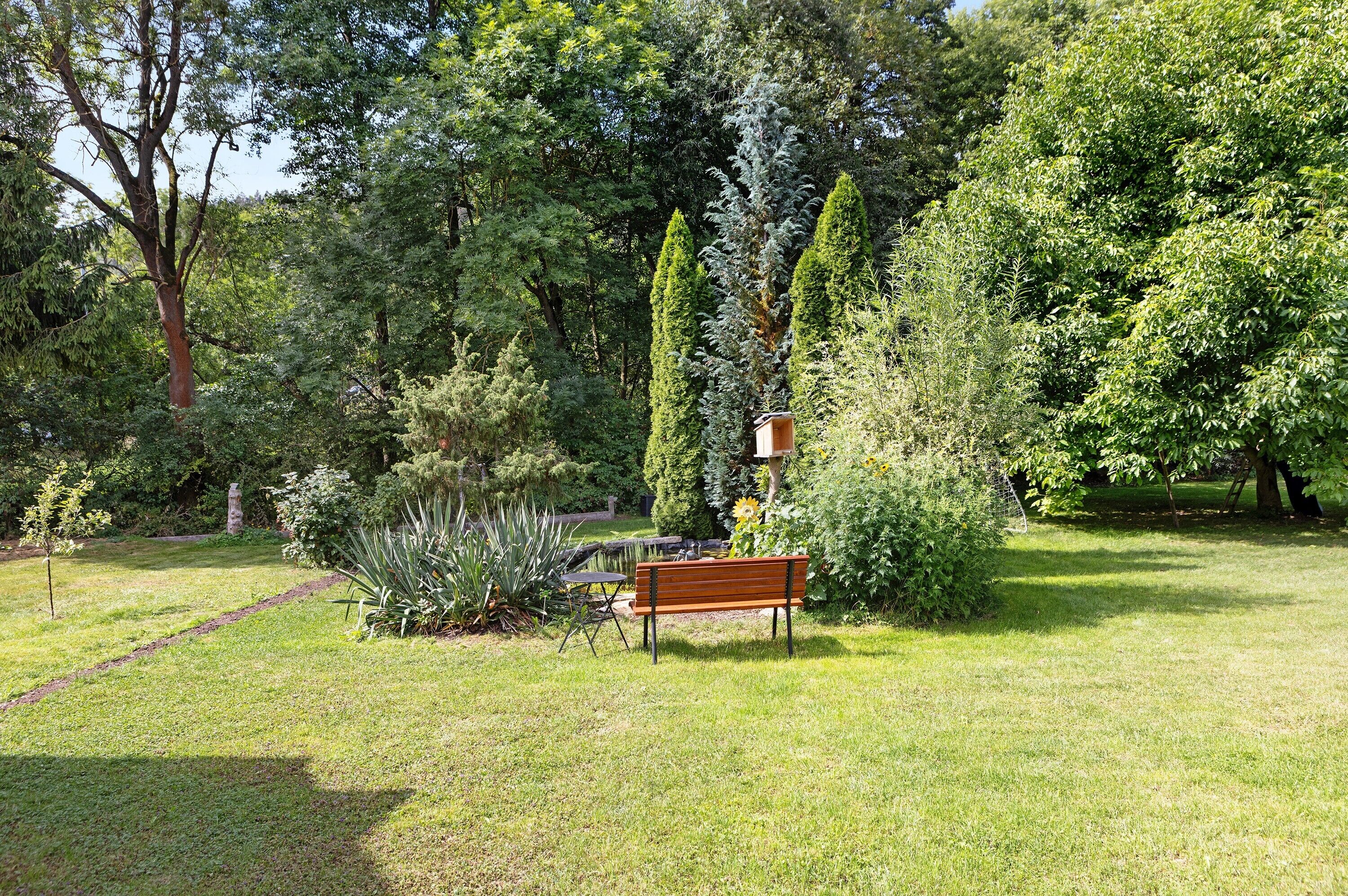 A bench in a garden with various plants and trees.