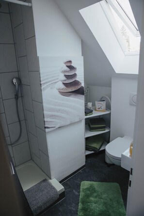 Chuveiro, secador de cabelo, toalhas de banho 