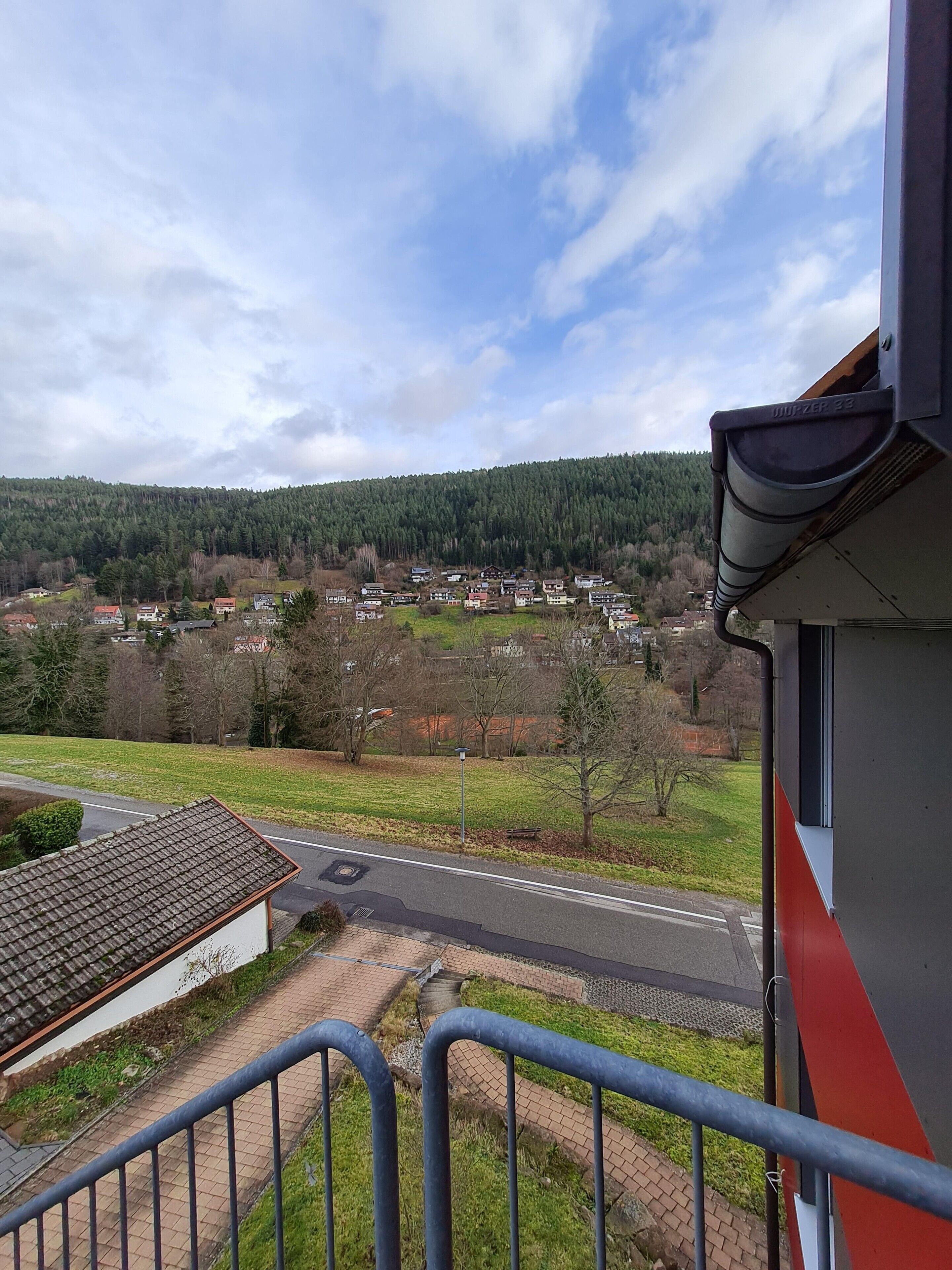 A residential area with houses, a road, and a forested hill in the background.