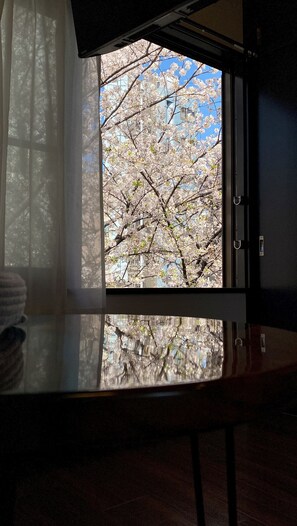 A room with a window overlooking a tree with blossoms. - Penthouse 1-bedroom Flat in Hiroo Shibuya (Tokyo)