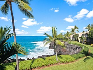 A coastal resort with a rocky shoreline, palm trees, and ocean views.