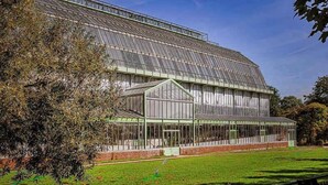 A large greenhouse structure with multiple glass panels and a brick base.
