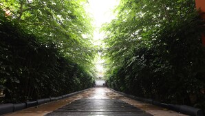A pathway flanked by dense green foliage leading to a building. - Mayfair World Cup Village (Rourkela)