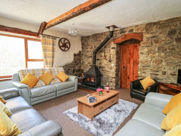 Living area - Y Felin (Llanybydder)