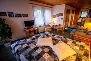 Ein gemütliches Zimmer mit einem Bett, einem Schreibtisch, einem Sessel, einem Fernseher und einer Pflanze.