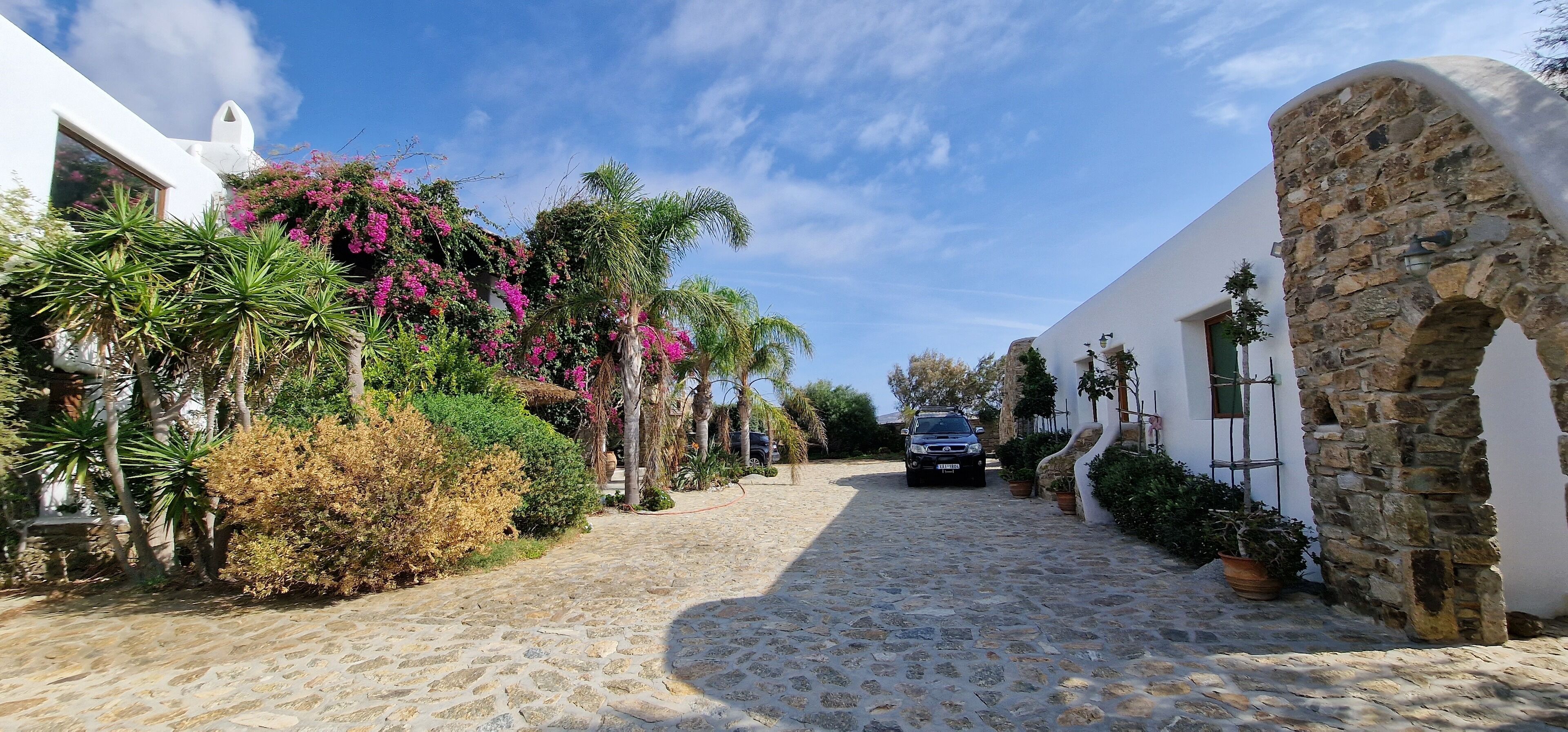 A cobblestone street flanked by white buildings with stone arches, lush greenery, and pink bougainvillea flowers.