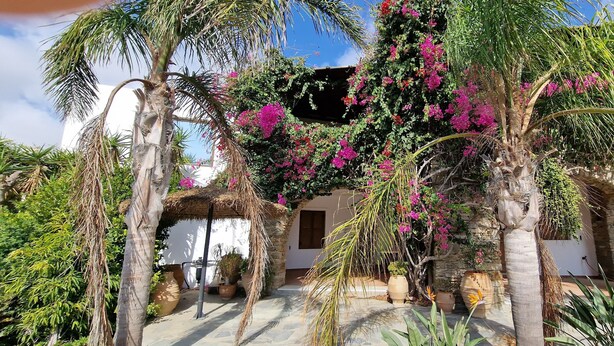 A courtyard with palm trees, a stone wall, and a thatched-roof structure. - Divers House (Mykonos)