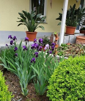 Exterior detail - Holiday apartment in the rose garden (Zell a. H.)