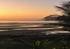 A beach at sunset with palm trees and a calm sea. - Bowen Beach House Absolute beachfront family holiday home (Bowen)