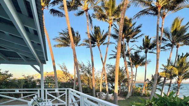 A wooden deck with white railings, palm trees, and a view of the ocean. - Bowen Beach House Absolute beachfront family holiday home (Bowen)