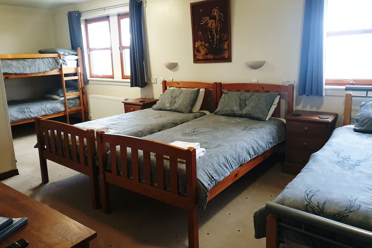 Room, Lake View (Room 5) | Bed sheets
