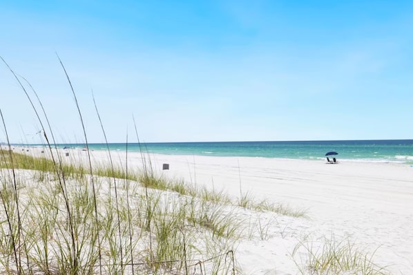 Une plage avec des dunes de sable et un ciel dégagé.
