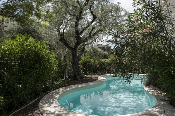A swimming pool surrounded by lush greenery and trees. - 1 Bedroom Apartment in Desenzano del Garda (Desenzano del Garda)