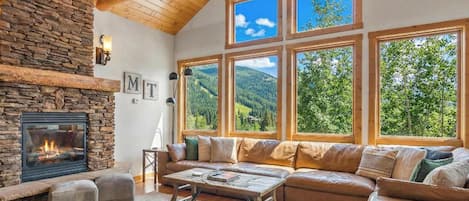 Télévision, cheminée, jeux vidéo, lecteur de DVD