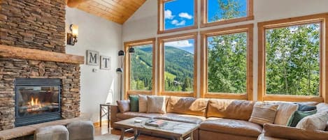 TV, fireplace, video games, DVD player