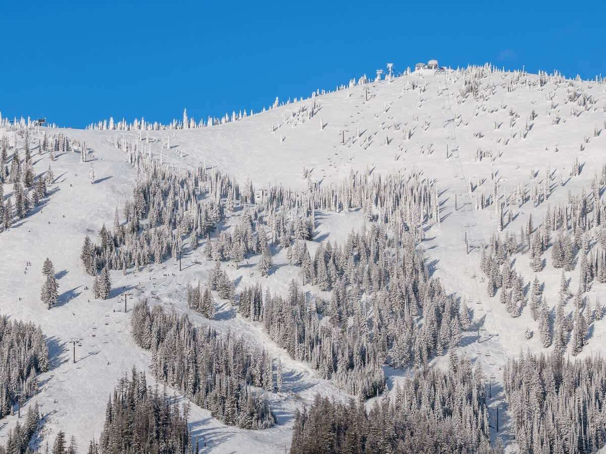 Une montagne enneigée, avec des pistes de ski et des arbres.