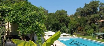 Appartement T3 en Rez-de-jardin Dans son Écrin de Verdure