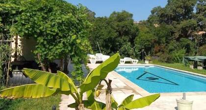 Appartement T3 en Rez-de-jardin Dans son Écrin de Verdure