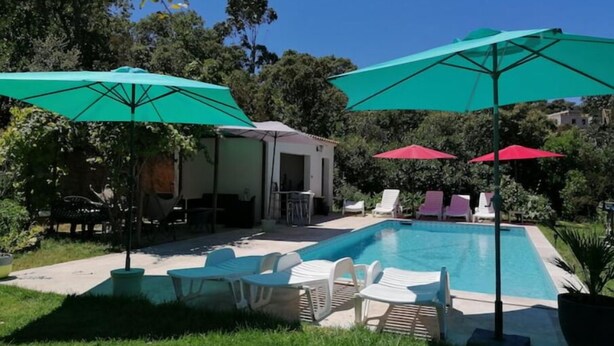 A swimming pool with lounge chairs and umbrellas, surrounded by greenery.