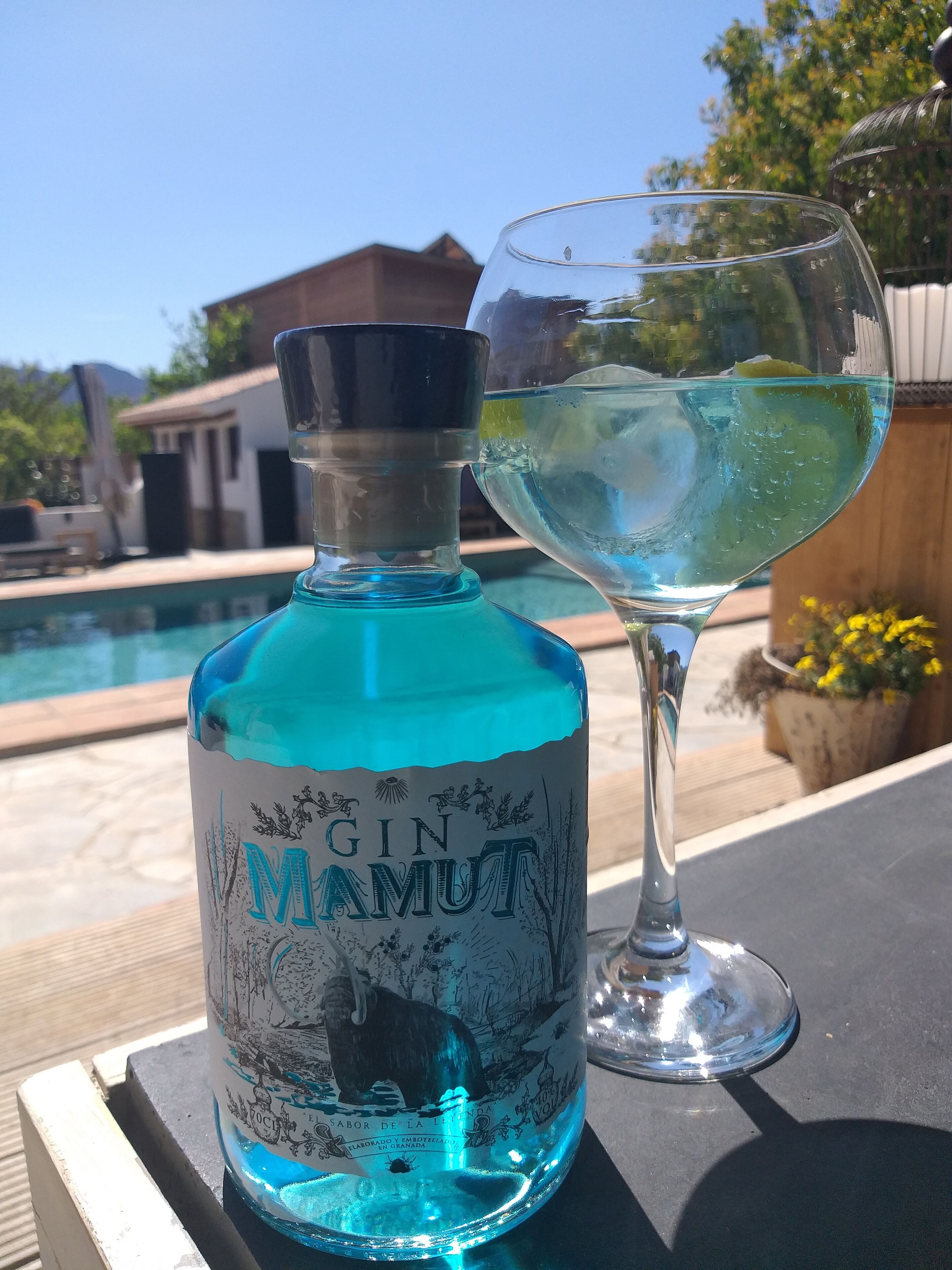 A bottle of gin and a glass of cocktail on a table by a pool.