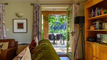 Télévision, cheminée, jeux vidéo, lecteur de DVD