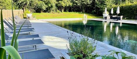 室內泳池、暖水池