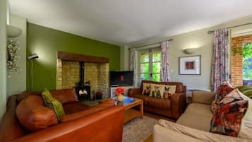 TV, fireplace, video games, DVD player