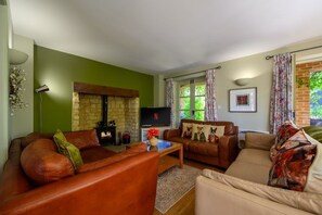 Télévision, cheminée, jeux vidéo, lecteur de DVD