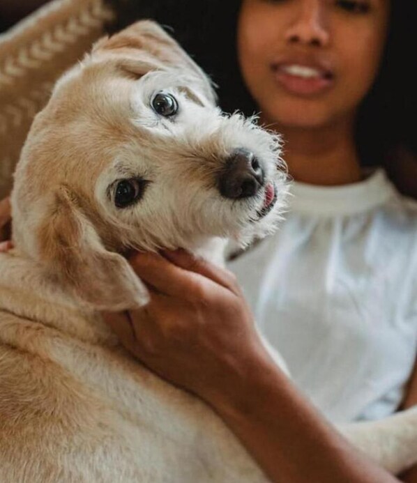 Una persona sosteniendo un perro pequeño.