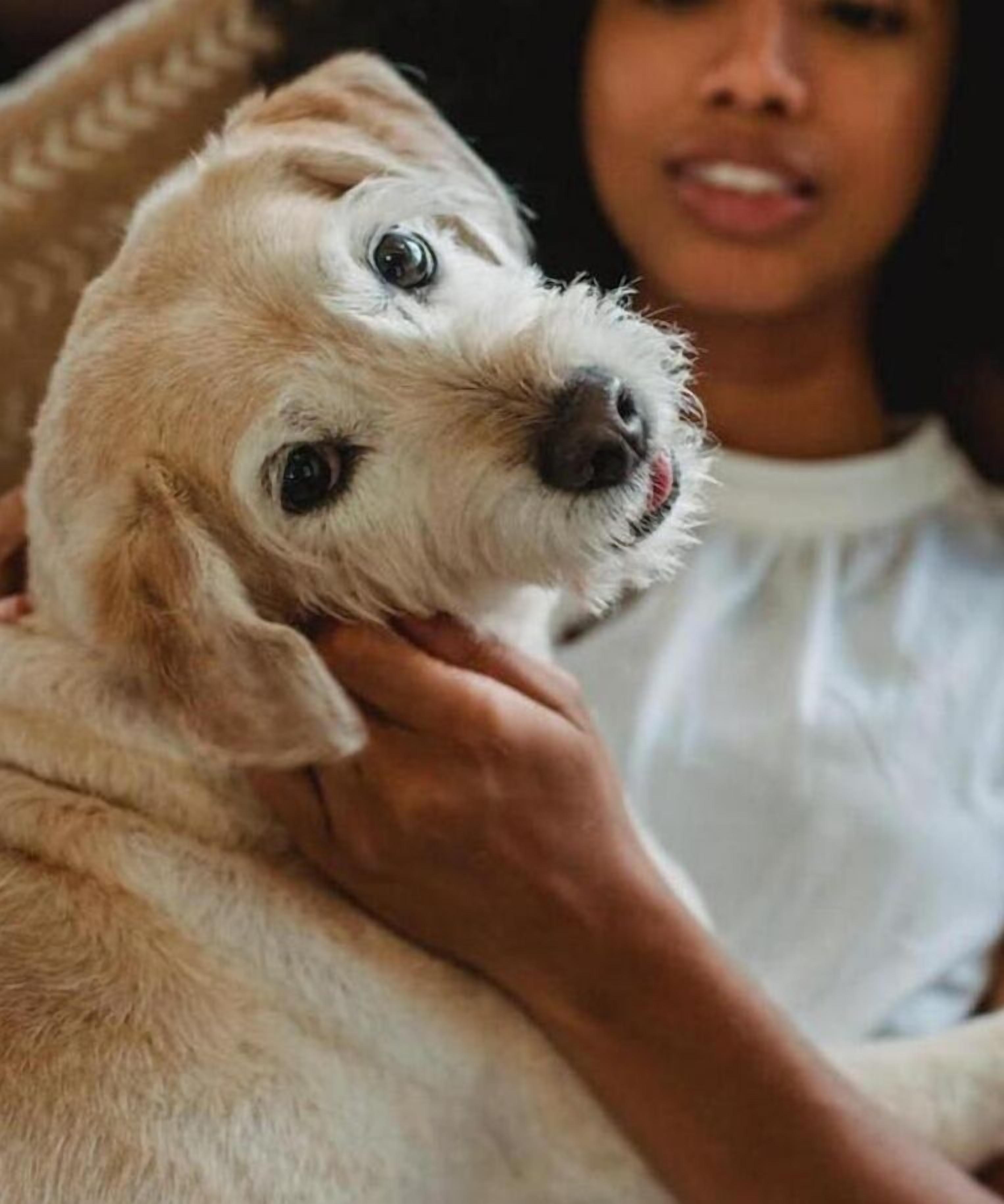 A person holding a dog.