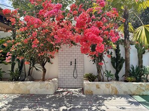 Terrain de l’hébergement 