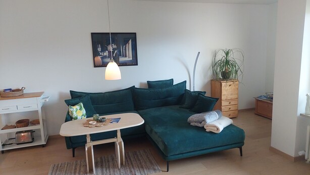 Ein modernes Wohnzimmer mit einem grünen Sofa, einem kleinen Tisch, einer Hängeleuchte, einem Holzschrank und einem Topfpflanzen.