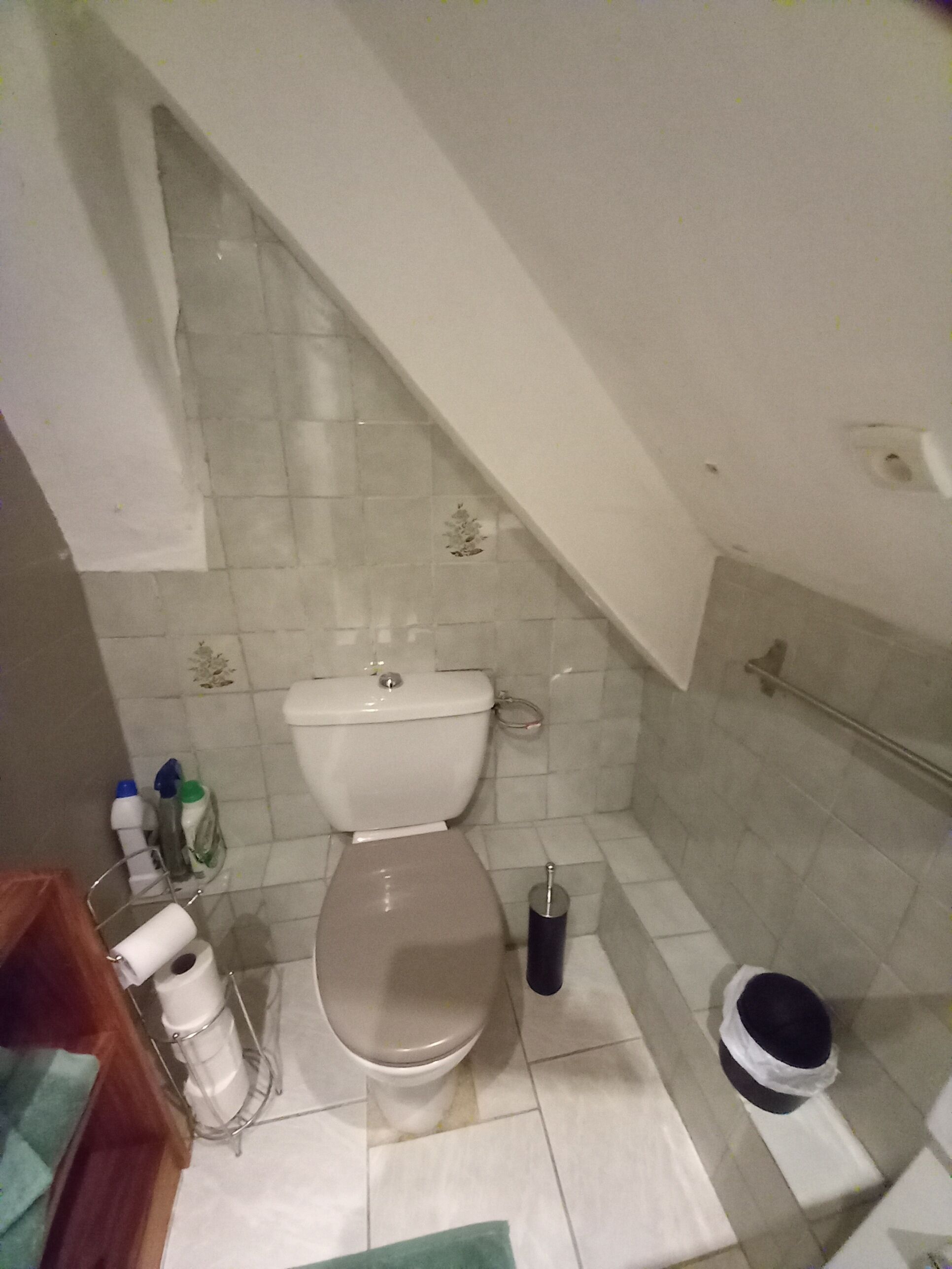 Une petite salle de bain avec des toilettes, une douche et un lavabo.