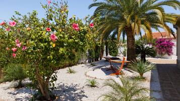 Un jardín con una palmera, un árbol pequeño con flores rosadas y una hamaca.