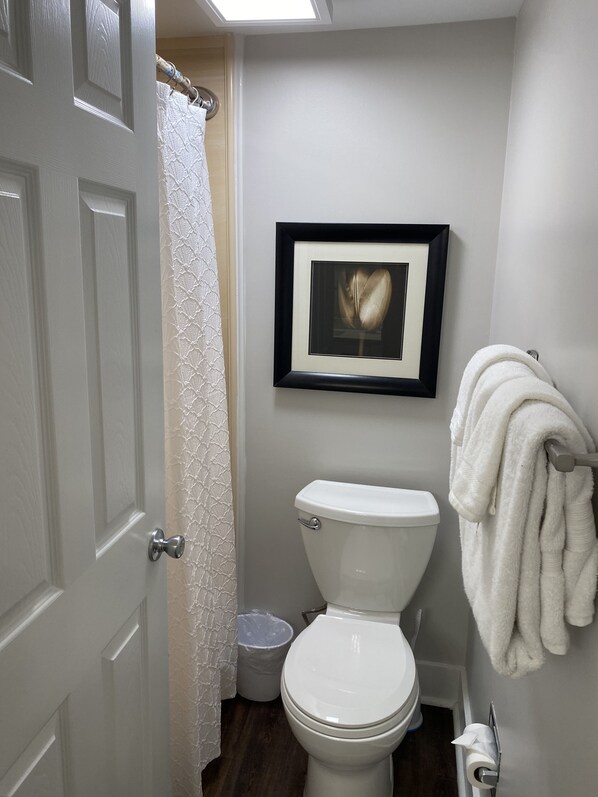 A bathroom with a toilet, a framed picture on the wall, a towel rack with a towel, a trash bin, and a door with a curtain.