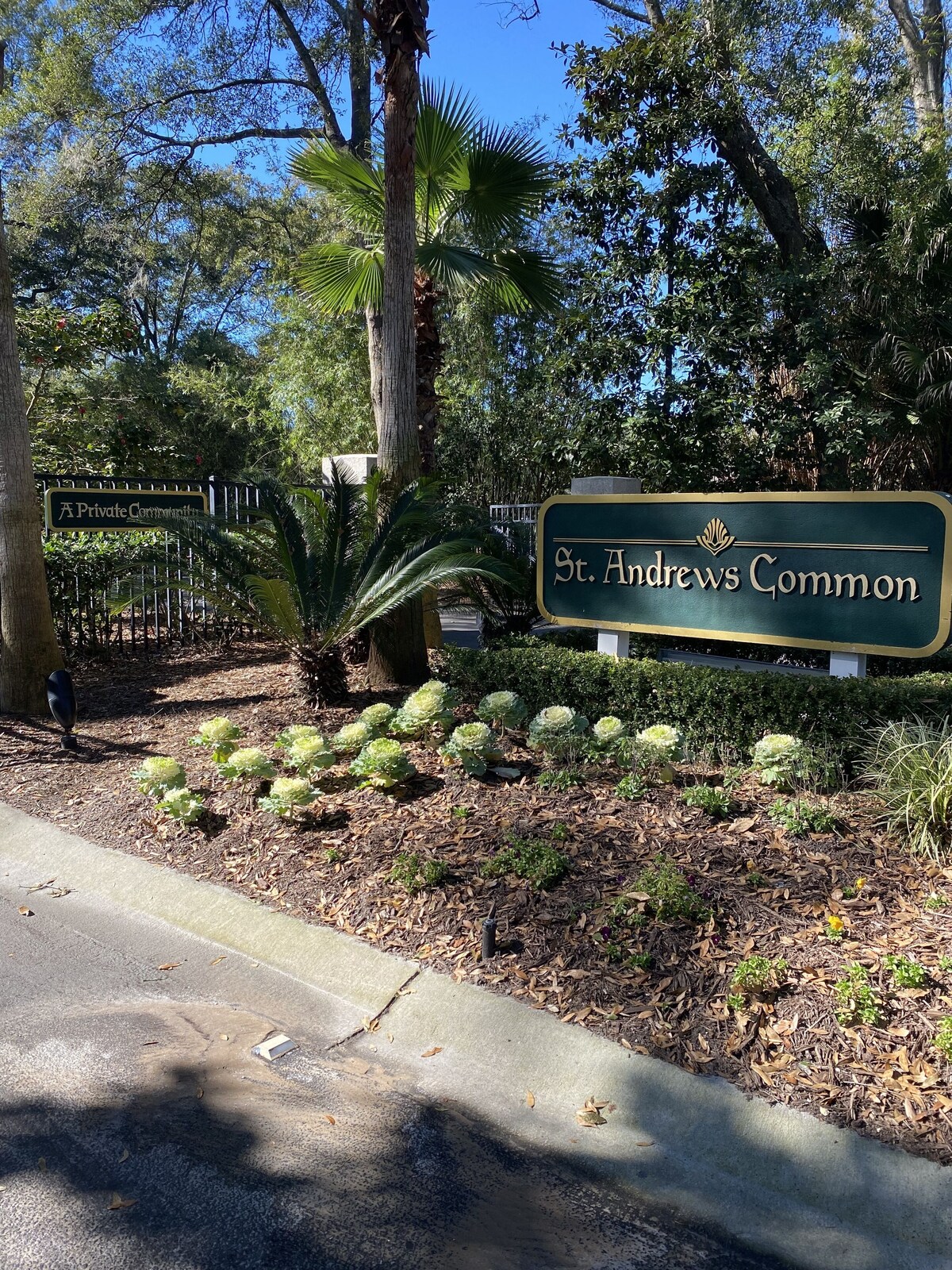 Imagen de perfil del propietario o de la propietaria