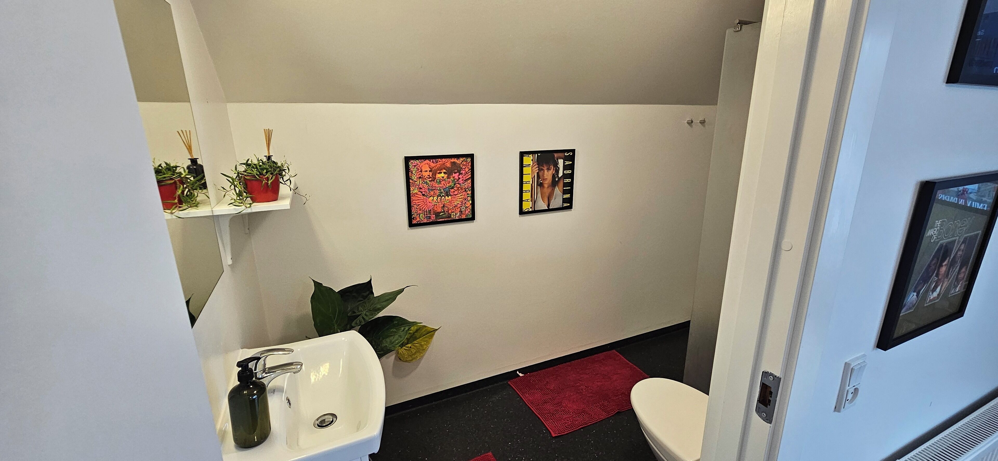 Casa de banho com uma pia branca, uma sanita, um tapete vermelho e duas molduras na parede.