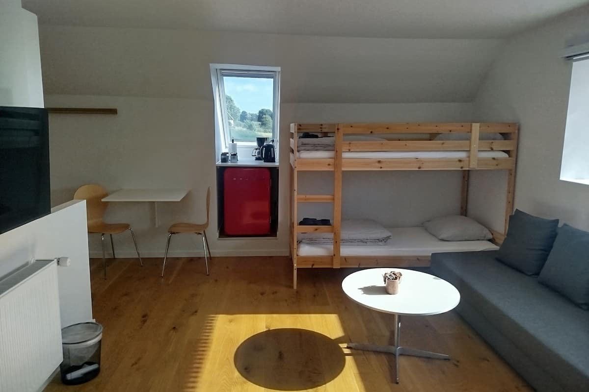 A compact room with a bunk bed, a small kitchenette, a round table, and a sofa.
