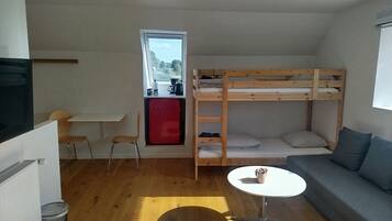 A compact room with a bunk bed, a small kitchenette, a round table, and a sofa.
