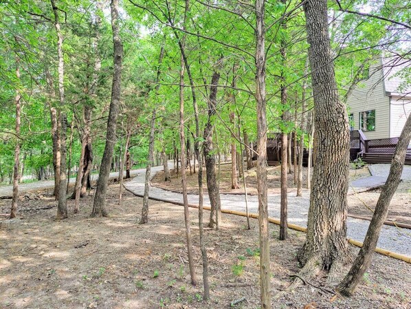 Property grounds - Timber Point - Cabin on Indian Point! - Location! (Branson)