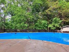 Une piscine entourée d’une végétation luxuriante.