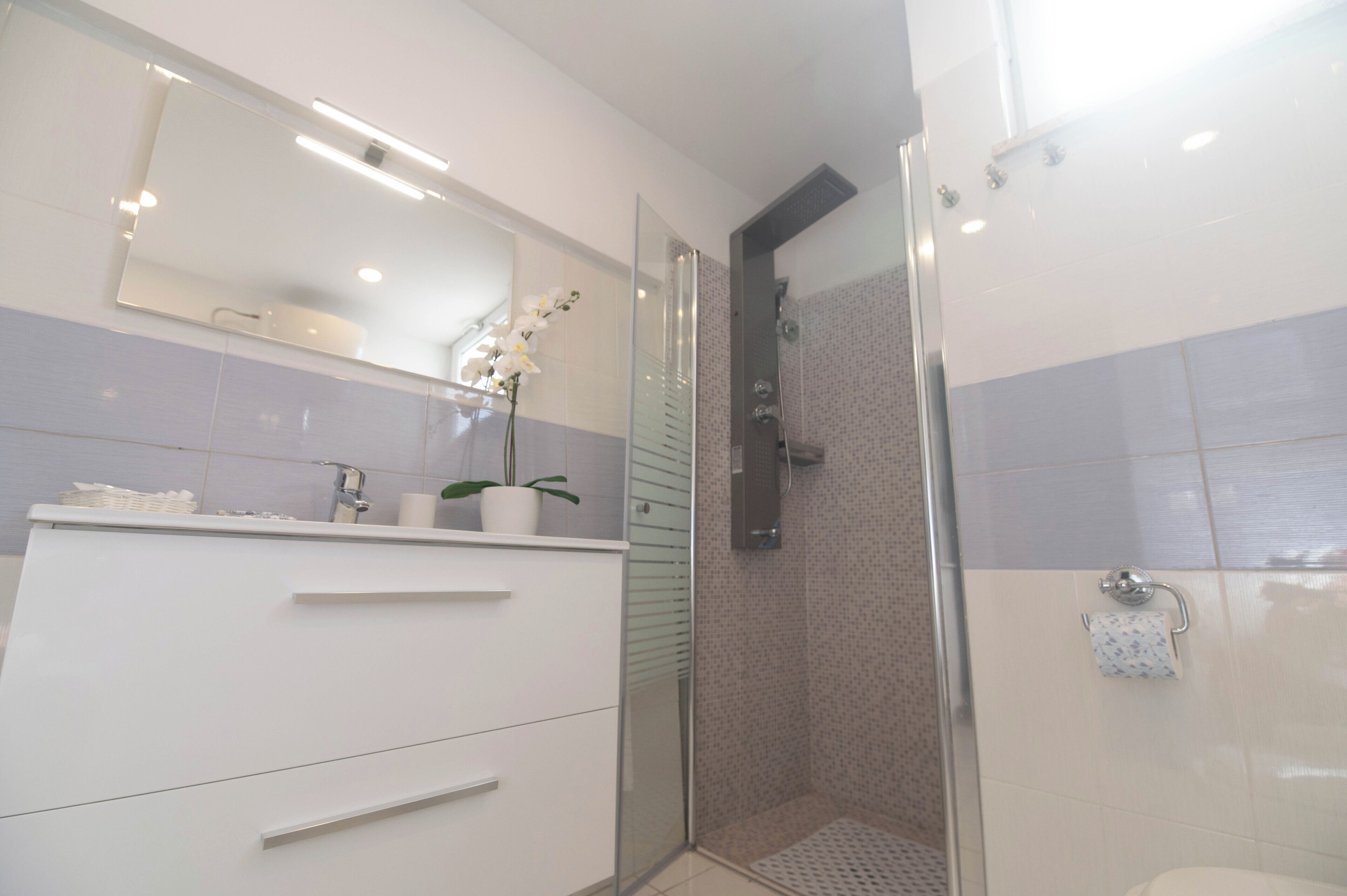 A bathroom with a shower, a sink with a mirror, and a potted plant.