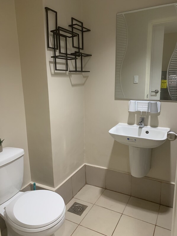 A bathroom with a white toilet, a white sink with a mirror above it, and a wall-mounted shelf with black frames.